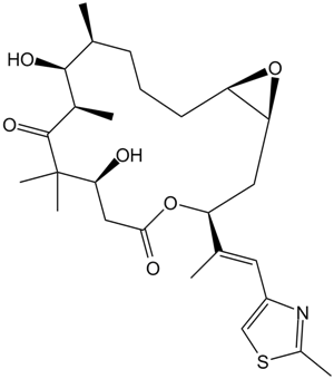 Epothilone AͼƬ