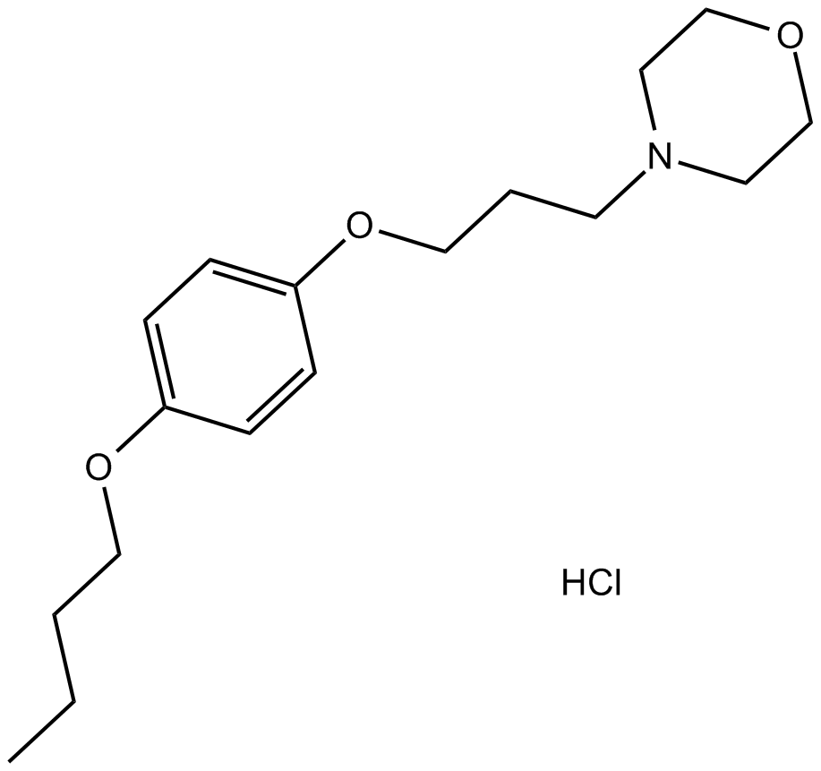 Pramoxine HClͼƬ