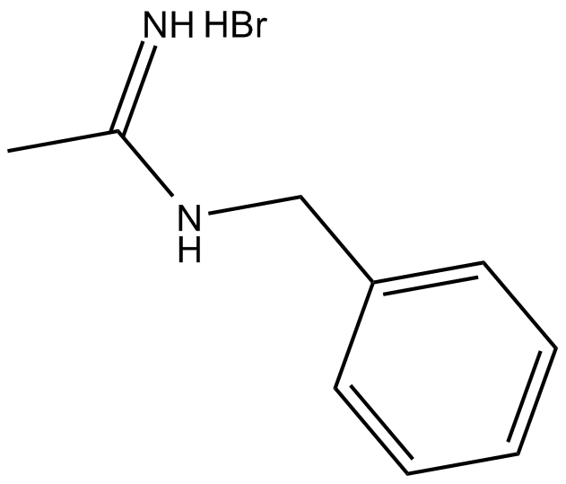 N-Benzylacetamidine(hydrobromide)ͼƬ