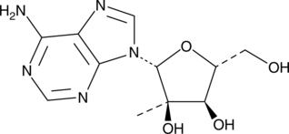 2'-C-MethyladenosineͼƬ