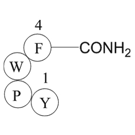 Endomorphin-1ͼƬ