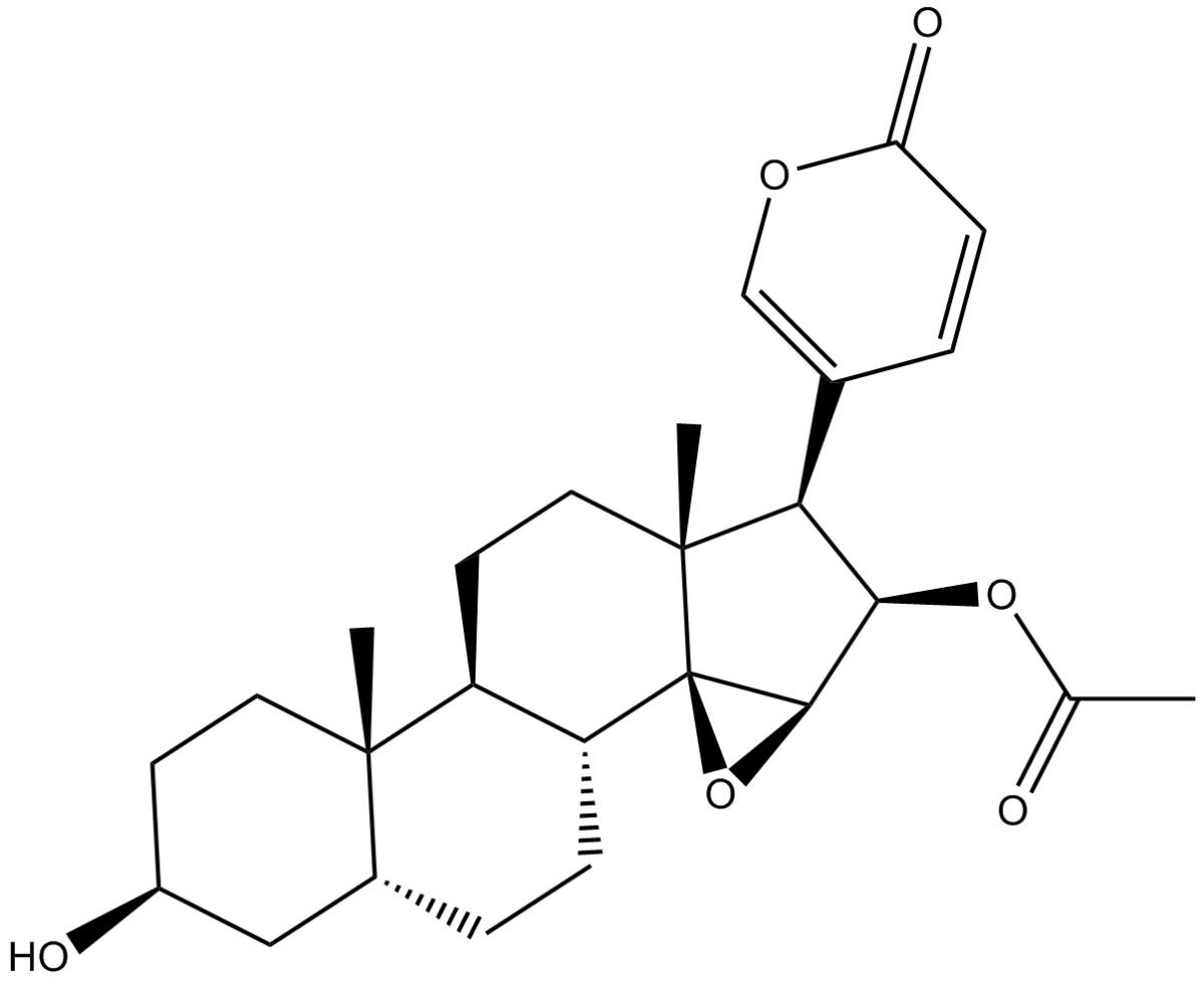 CinobufaginͼƬ