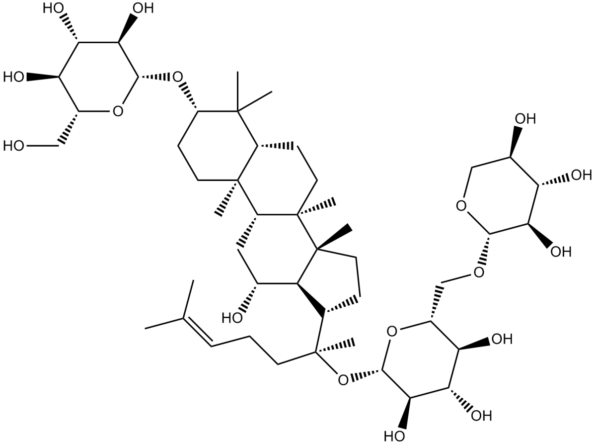 Gynostemma ExtractͼƬ