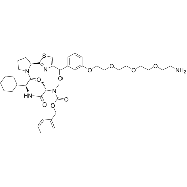 E3 ligase Ligand-Linker Conjugates 41ͼƬ