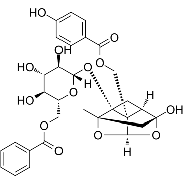 BenzoyloxypaeoniflorinͼƬ