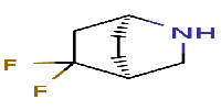 (1S,4S)-5,5-difluoro-2-azabicyclo[2,2,2]octaneͼƬ