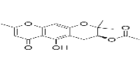 3'-O-AcetylhamaudolͼƬ