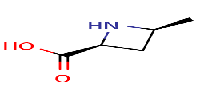 (2S,4S)-4-methylazetidine-2-carboxylicacidͼƬ