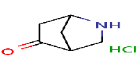 2-azabicyclo[2,2,1]heptan-5-onehydrochlorideͼƬ