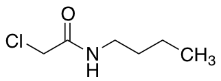 N--2-ͼƬ