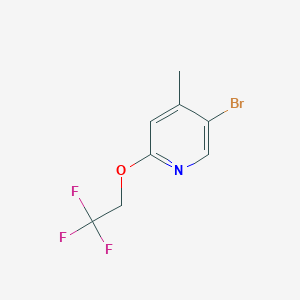 5-Bromo-4-methyl-2-(2,2,2-trifluoroethoxy)pyridineͼƬ