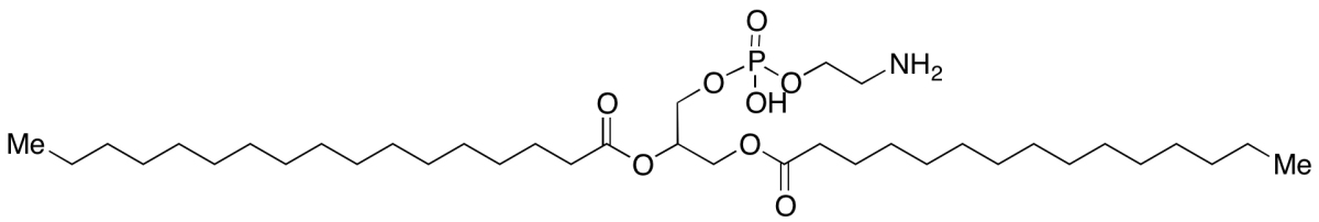 1,2-Dipalmitoyl-rac-glycero-3-phosphoethanolamineͼƬ