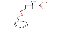 trans-1-amino-3-[(benzyloxy)methyl]cyclobutane-1-carboxylicacidͼƬ