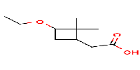 2-(3-ethoxy-2,2-dimethylcyclobutyl)aceticacidͼƬ