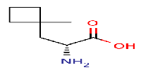 (2R)-2-amino-3-(1-methylcyclobutyl)propanoicacidͼƬ