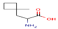 2-amino-3-(1-methylcyclobutyl)propanoicacidͼƬ