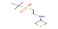 N-[2-(2-methylpropane-2-sulfonyl)ethyl]thietan-3-amineͼƬ