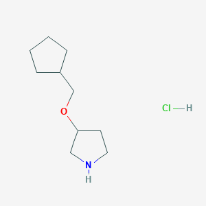 3-(Cyclopentylmethoxy)pyrrolidine HydrochlorideͼƬ