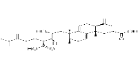 Poricoic acid AͼƬ