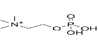 N,N,N-Trimethyl-2-(phosphonooxy)ethanaminiumͼƬ