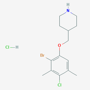 4-[(2-Bromo-4-chloro-3,5-dimethylphenoxy)methyl]-piperidine hydrochlorideͼƬ