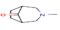 3-methyl-3-azabicyclo[3,2,1]octan-8-oneͼƬ