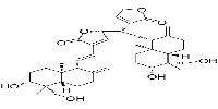 Bisandrographolide CͼƬ