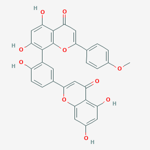 Podocarpusflavone AͼƬ