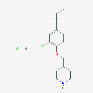 4-{[2-Chloro-4-(tert-pentyl)phenoxy]-methyl}piperidine hydrochlorideͼƬ