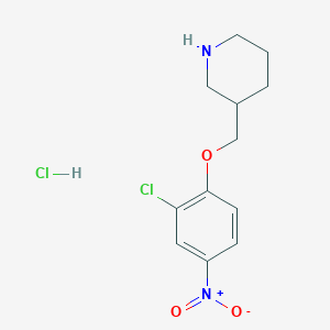 3-[(2-Chloro-4-nitrophenoxy)methyl]piperidinehydrochlorideͼƬ