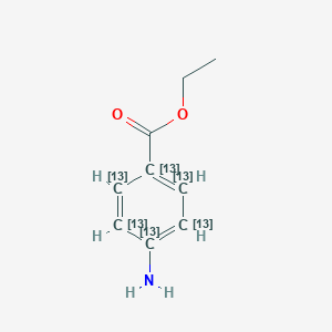 Benzocaine-13C6ͼƬ