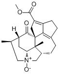 Paxiphylline DͼƬ