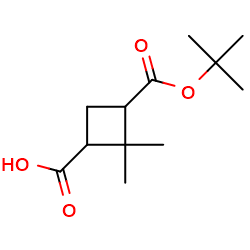 3-[(tert-butoxy)carbonyl]-2,2-dimethylcyclobutane-1-carboxylicacidͼƬ