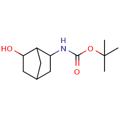 tert-butylN-{6-hydroxybicyclo[2,2,1]heptan-2-yl}carbamateͼƬ