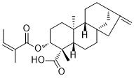 ent-3-Angeloyloxykaur-16-en-19-oic acidͼƬ