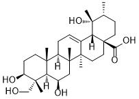 3,6,19,23-Tetrahydroxy-12-ursen-28-oic acidͼƬ