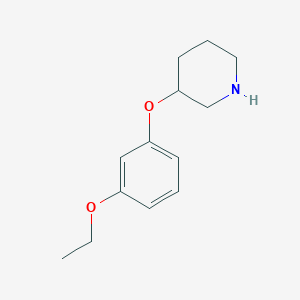 3-(3-Ethoxyphenoxy)piperidineͼƬ