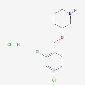 3-(2,4-Dichloro-benzyloxy)-piperidine hydrochlorideͼƬ