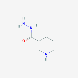 piperidine-3-carbohydrazideͼƬ