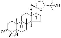 OcotilloneͼƬ