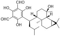 Macrocarpal LͼƬ