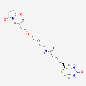 Biotin-PEG 2-NHS EsterͼƬ