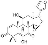 11-ǻͼƬ