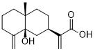 5-Hydroxycostic acidͼƬ