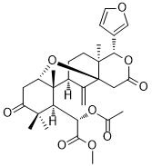 6-AngolensateͼƬ