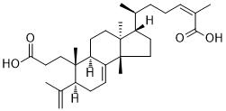 3,4-Secotirucalla-4(28),7,24-ϩ-3,26-ͼƬ