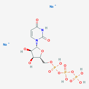 Uridine 5'-Triphosphate Disodium SaltͼƬ