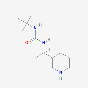 3-tert-Butyl-1-[1-(piperidin-3-yl)ethyl]ureaͼƬ