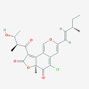 SceliphrolactamͼƬ