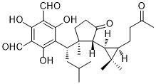 Macrocarpal NͼƬ